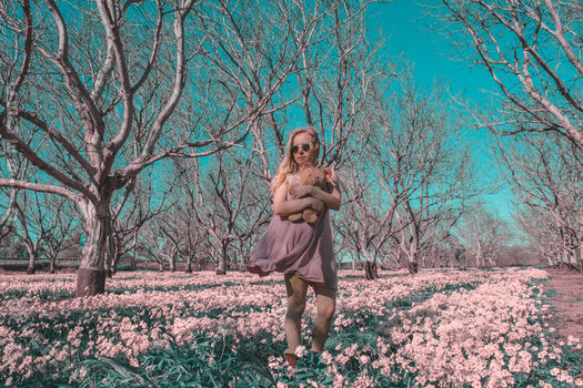 faerie
