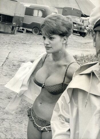 Vintage Starlets